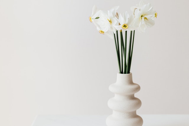 a green plant in a clear, round vase with water in it